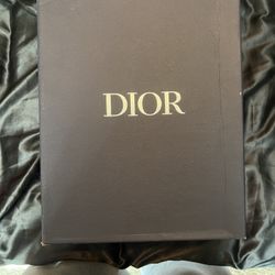 Dior B22