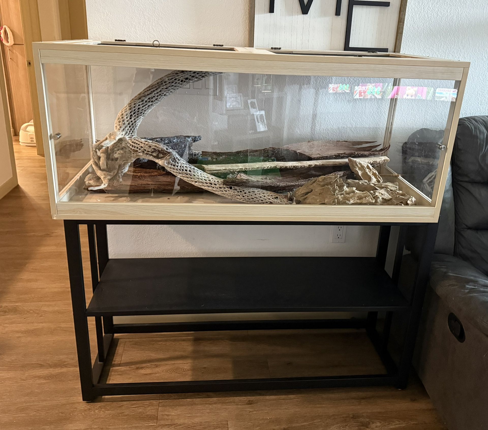 Reptile Aquarium
