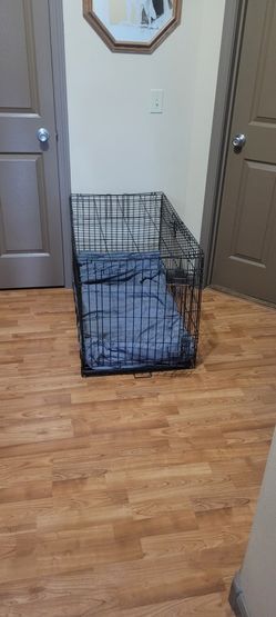 Dog Kennel 