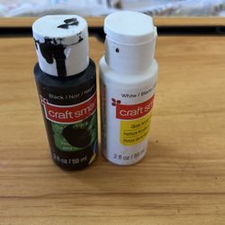 Craft Smart Gloss Acrylic Paint 