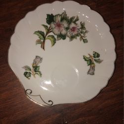 Glass Plate