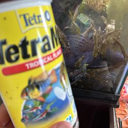 Free “Fish” Food