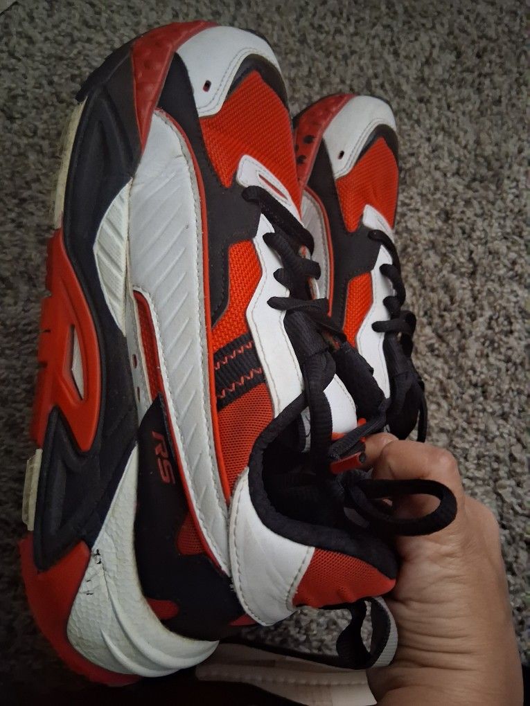 Pumas