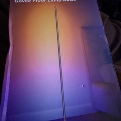 Govee Floor Lamp Basic Black Remote Control for Adults by Govee Manufacturer