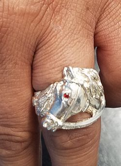 Horse ring