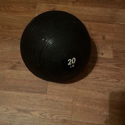 20 Lbs Weight Ball