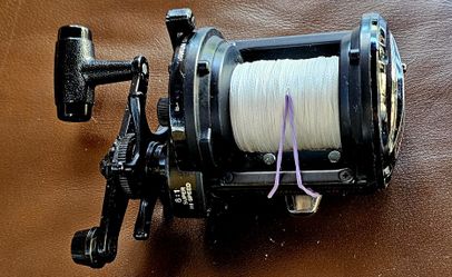 Shimano Triton Speedmaster, specifically an earlier model like the TSM III FS or TSM IV FS. The "FS" indicates it has the "Fightin' Star" drag system,