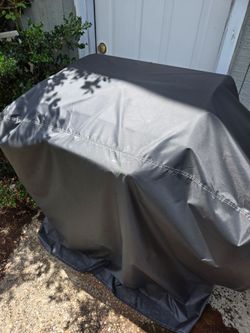 Free BBQ