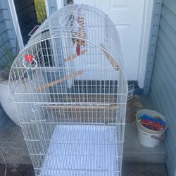 Bird Cage