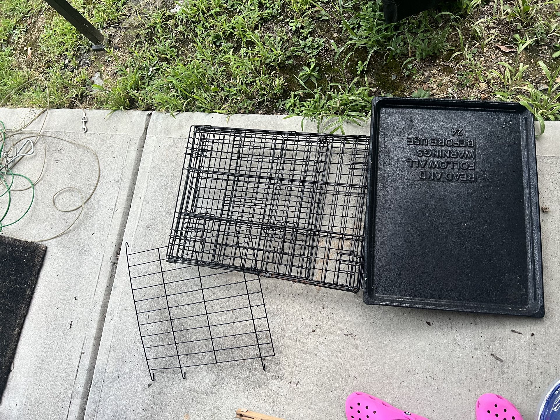 Dog Items