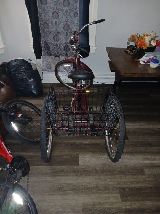 Meridian 3 Wheel Bike