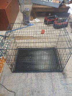 Dog crate petco brand