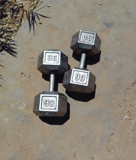 90lb Hex Dumbbells
