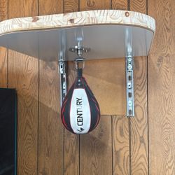 Custom Speed Bag Setup