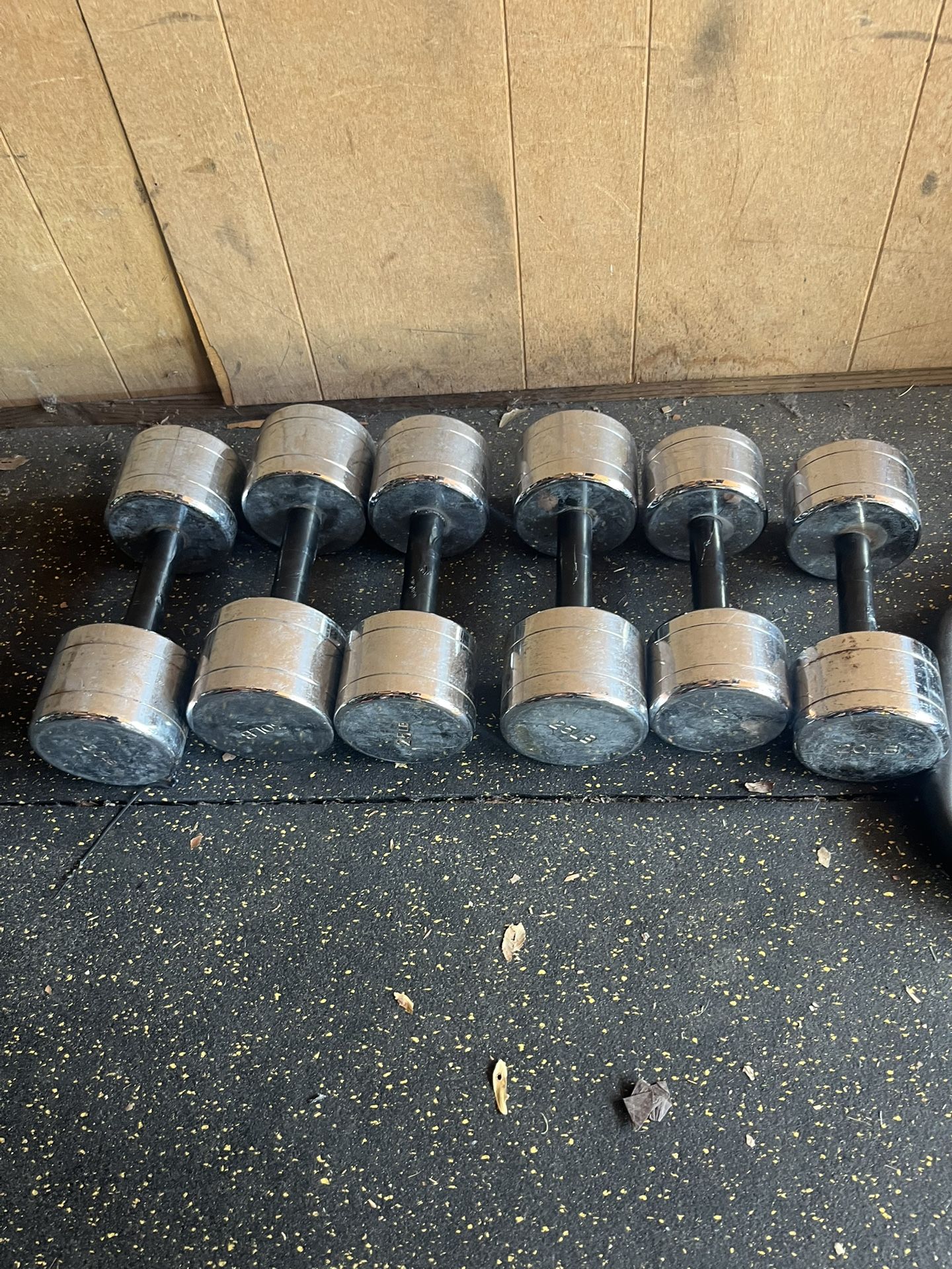 Chrome Dumbbell Weights 