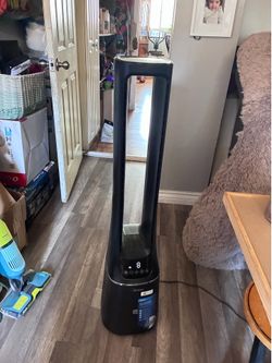 Fan