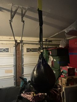 Aqua Punching Bag