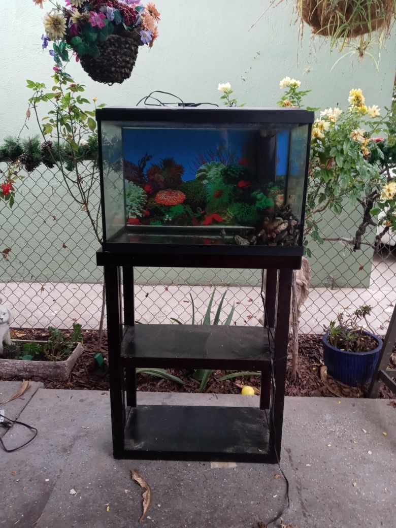 20 gallon fish tank with stand