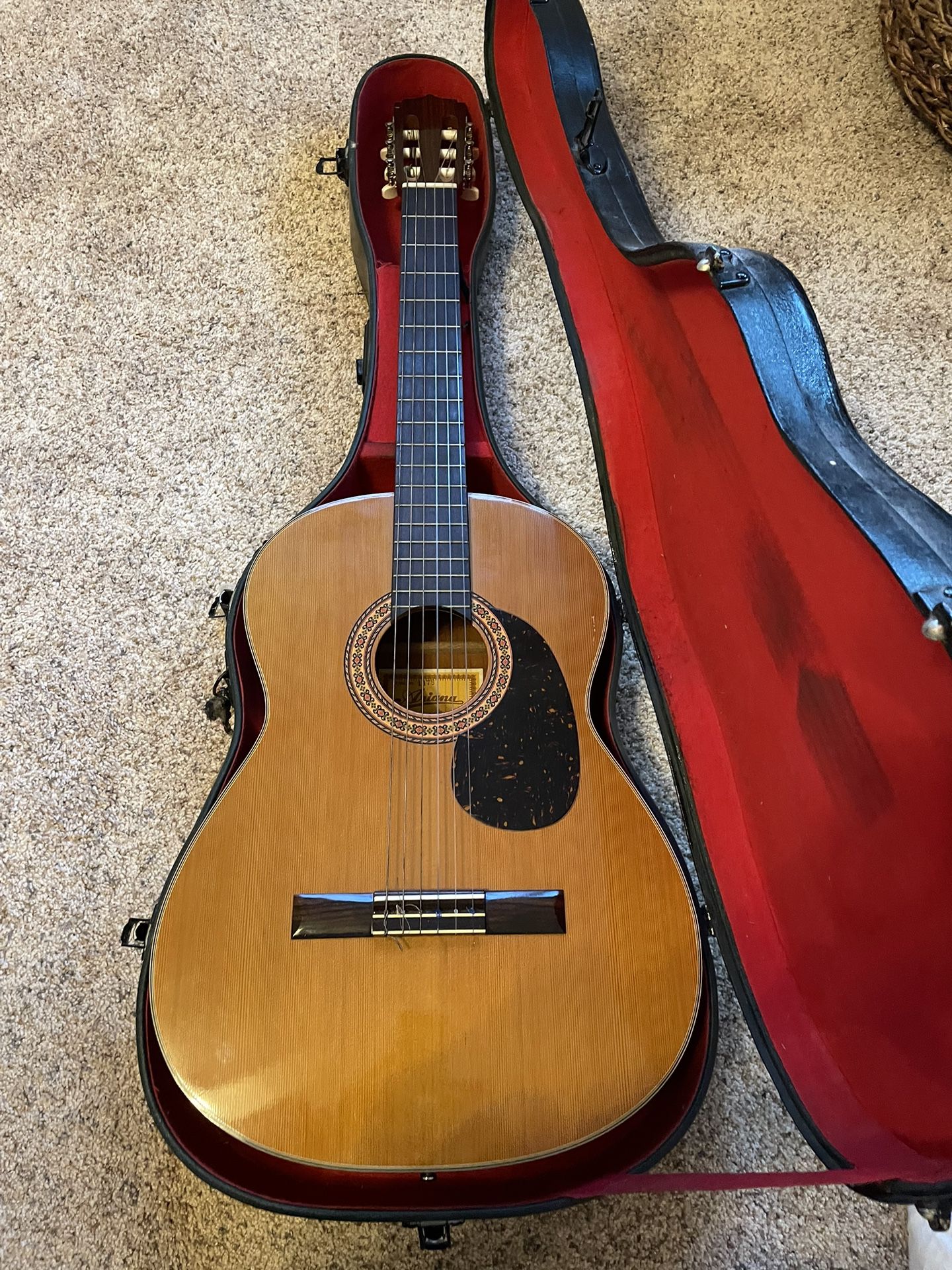 Vintage Ariana 6 String Guitar 