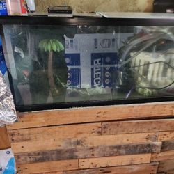 Aquarium 187 Gals Stand Sump