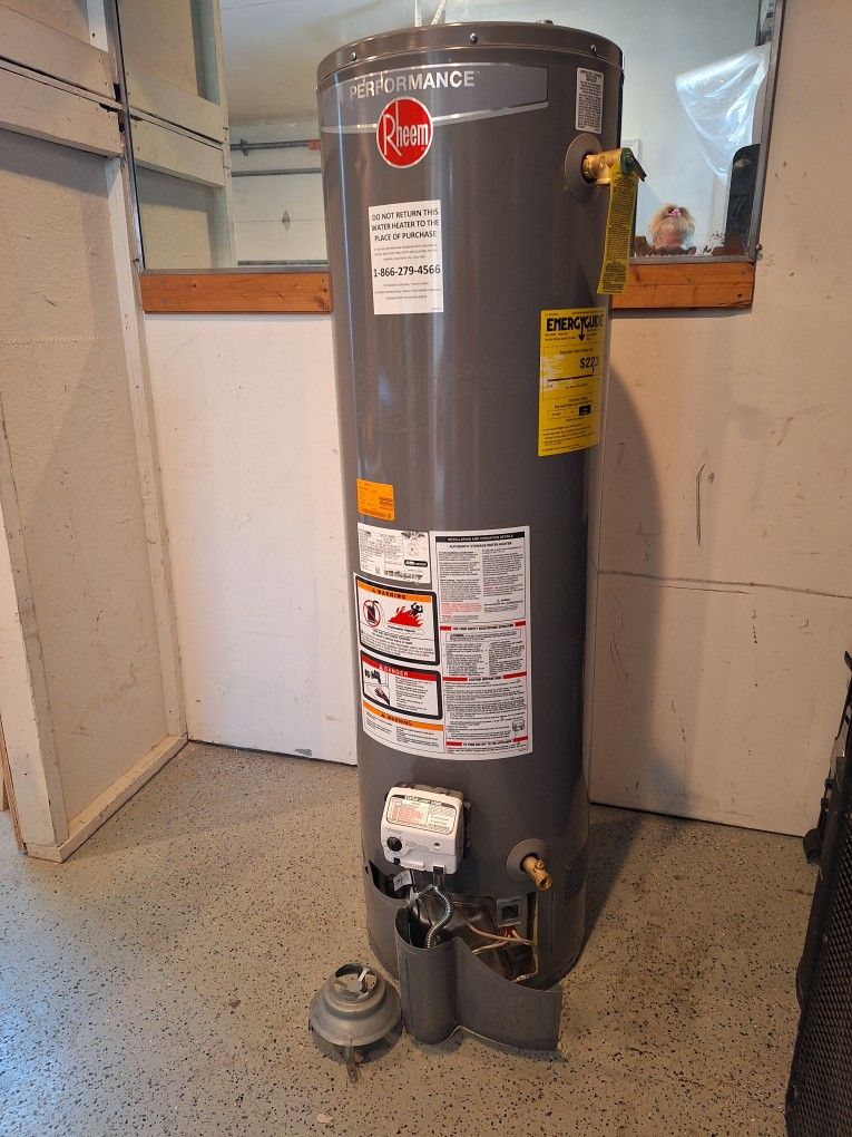 Water Heater Boiler Nuevo Azusa 30 Galones