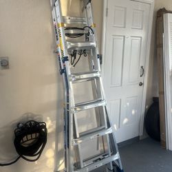 Werner Ladder 