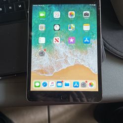 Ipad Mini 2 