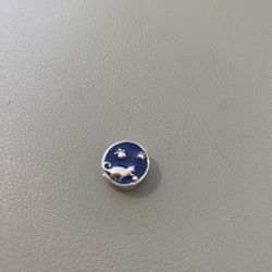 Pandora Reflexions Bracelet Charm
