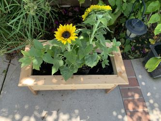 Handmade plants stand serious inquires no bargain