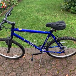 Men's Mountain Bike