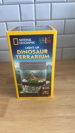 Dinosaur Terrarium