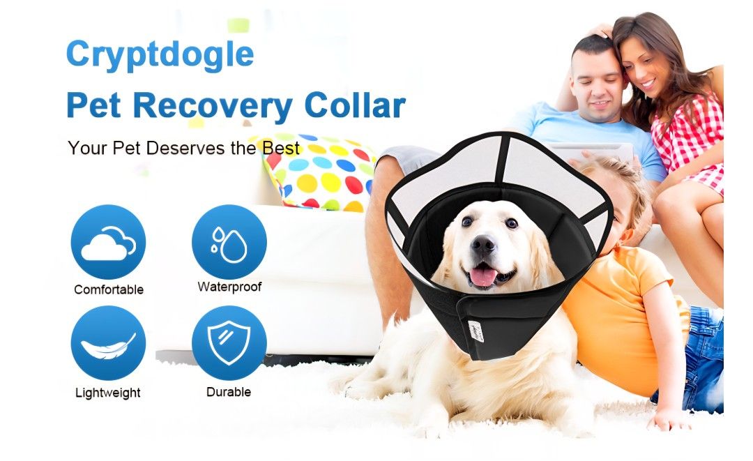 Cryptodogie Dog Cone Collar, Medium
