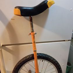 Unicycle 