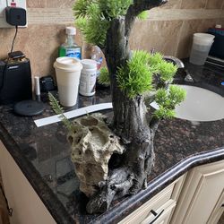 Aquarium Trees 3 In Total 