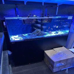 High-Quality Aquarium System - Premium Standard Choice indeed government