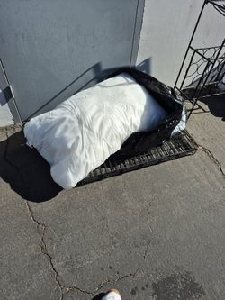 Ikea Large Dog Pillow