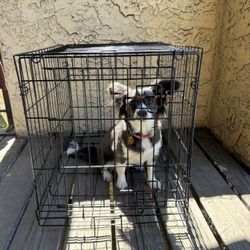 Collapsible Dog Crate