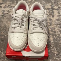 Nike Low Dunk Size 6.5 (negotiable)
