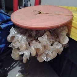 Vintage Wooden Top Chandelier With capiz shells, which are flat, translucent shells 