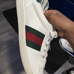 Gucci Shoes