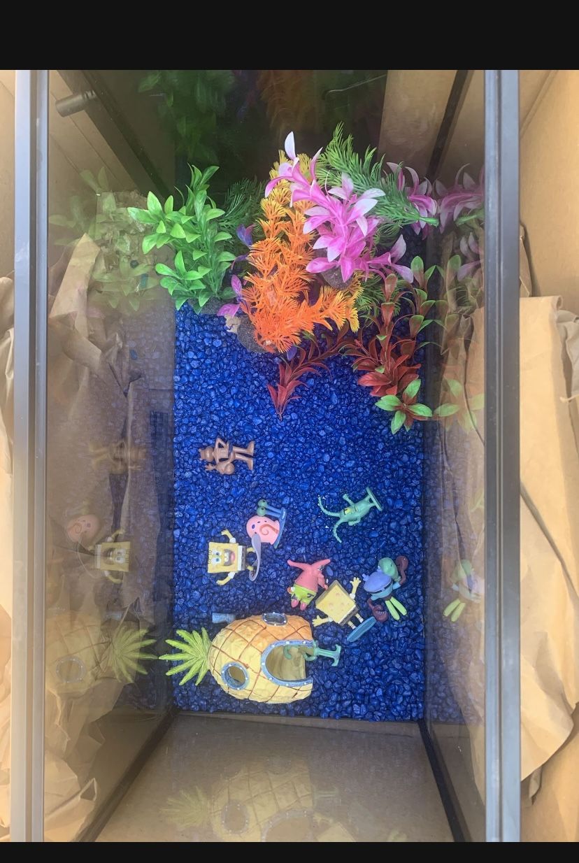 Fish Tank