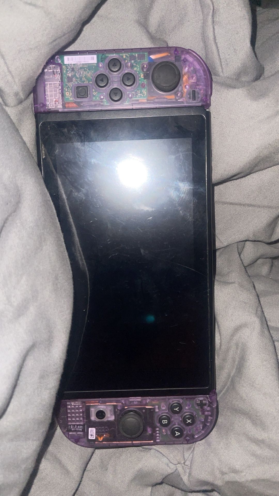 Nintendo Switch (custom Shell)
