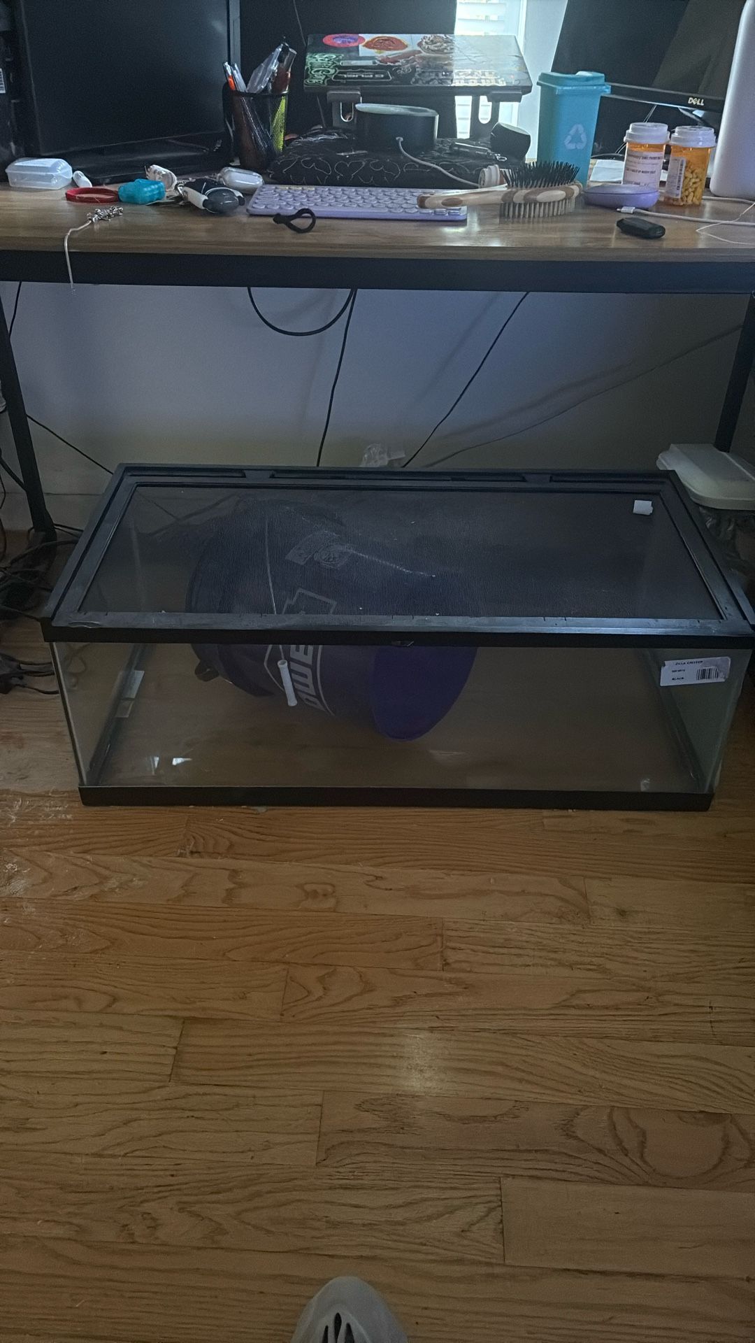 Reptile Tank