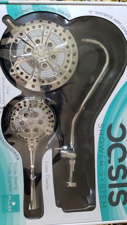 Oasis spa shower system