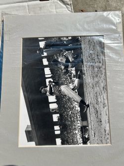 Brearley Collection