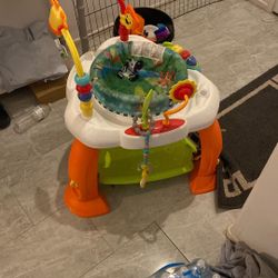 Baby Bouncer