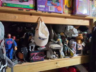 Vintage Toys, Collectibles (TMNT, Star Wars, He-Man, Transformers, LOTR)- 1980's - Early 2000's