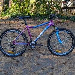 Winner Tuxpan Size Small Mountain Bike With 26" Wheels
