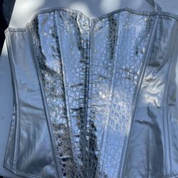 Silver Bustier 