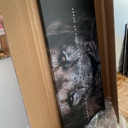Large Canvas 